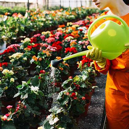 Choosing the right containers is important for your small balcony garden. 