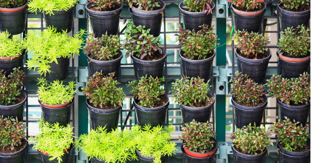 Vertical Garden