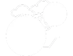 Bonsai Icon White