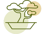 Bonsai Icon