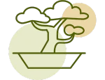 Bonsai Icon