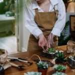 Plants and tools for your DIY florarium.