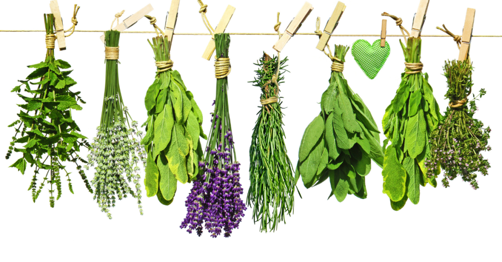 Herbs can be some of the best plants for balconies.