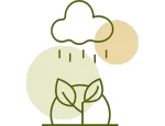 Plant & Rainfall Green