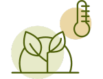 Plant Temperature Green