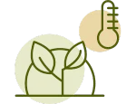 Plant Temperature Green