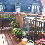 20 Best Plants for Balconies: Thriving in Sun and Shade