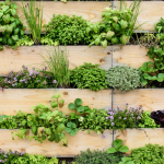 Types of Vertical Gardens: Creating a Stunning Green Wall
