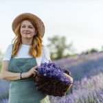 Lavender Plants for Water Conservation