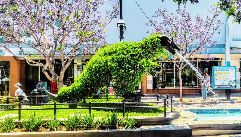 Walking the Third Street Promenade, you will encounter many Santa Monica flowers and plants.