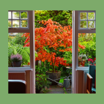 Creating a Stunning Balcony Garden with Japanese Maples