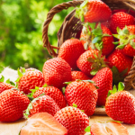 Grow Juicy Balcony Garden Strawberries: Great for an Urban Garden