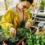 Balcony Gardening for Beginners: What You Need to Know