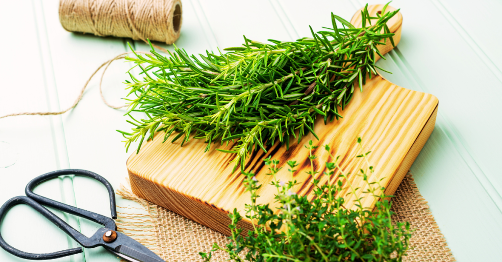 Rosemary and Thyme are great herbs to grow on a windy balcony garden.  