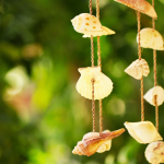 Windy Balcony Garden: Tips and Tricks for a Flourishing Outdoor Oasis