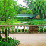 Discover the Beauty of Chicago Botanic Garden: A Complete Guide