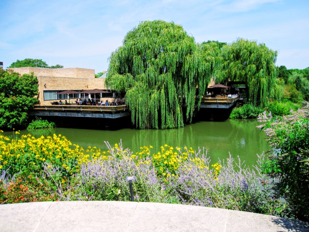 Chicago Botanic Garden Water Garden