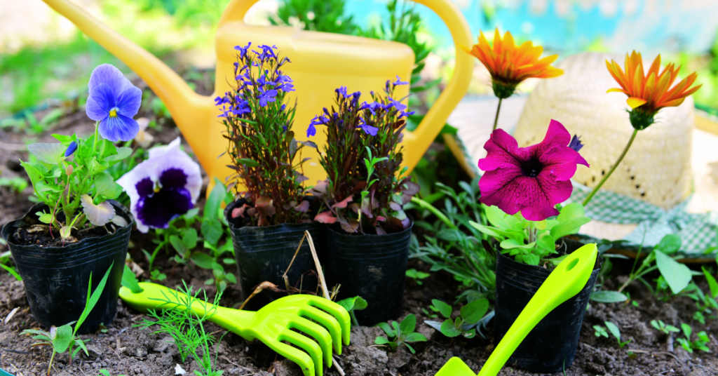 The right plants are so important to create a beautiful small balcony garden. 