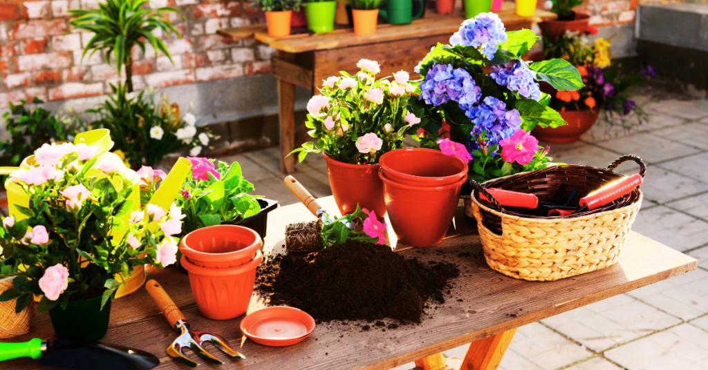 Choosing the right containers is important for your small balcony garden. 