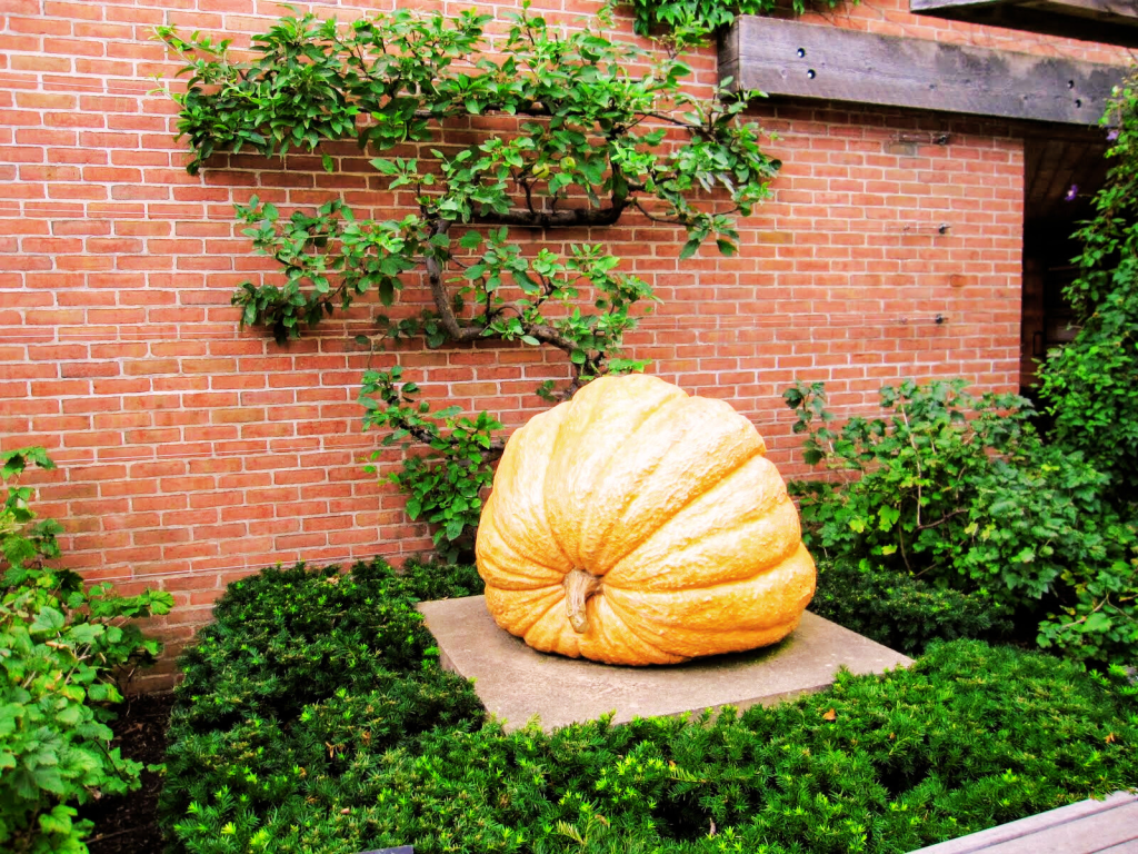 Pumpkin Tony Tasset, American (b. 1960) Bronze, paint, 1998 Regenstein Fruit & Vegetable Garden in the Chicago Botanic Garden.