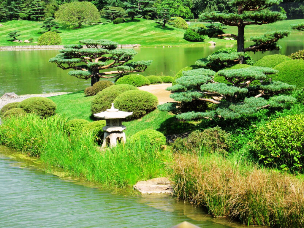 Lush vegetation in the Japanese Garden.