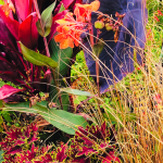 Lincoln Park Zoo:  Wildlife, Botany, and Conservation in Chicago