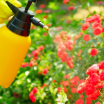 Natural Pesticides: Protect Your Balcony Garden the Eco-Friendly Way
