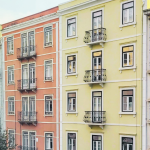 The Best Blooms on your Balcony: Plants to Love in Lisbon