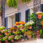 Protecting Your Balcony Garden from Too Much Sun.