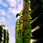 Balcony Gardens of Madrid Spain: A Haven in the City Sky