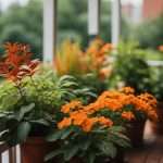 Growing Plants on a Shaded Balcony: Thrive in Limited Light