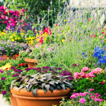 The Ultimate Guide to Thriller, Filler, and Spiller Plant Arrangements