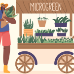 Ultimate Guide to DIY Microgreens: Effortless Gardening for Beginners