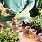 Eco-Friendly Practices in Your Balcony Garden: 5 Simple Steps for Sustainable Urban Growing