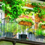 Best Flower Boxes for Railings: Elegant Solutions for Your Balcony