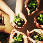 Sustainable Gardening Practices for a Greener Balcony