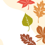 The Ultimate Guide to a Cozy, Weatherproof Fall Balcony Garden