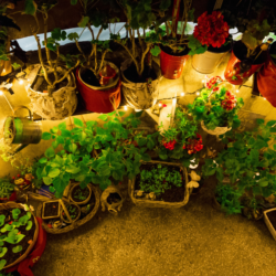The Best Fairy Garden Kits on Amazon for Small Spaces Fairy Garden Kits